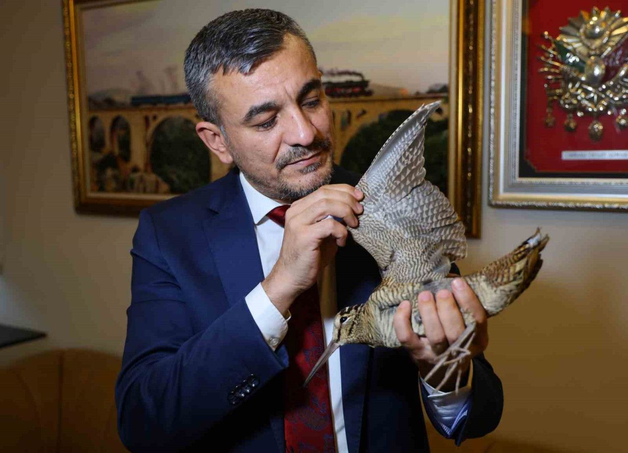 Sibirya Suçulluğu cinsi kuş yaralı olarak Adana'da bir federasyonun balkonuna kondu